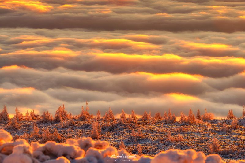 Sea foggy... фото превью