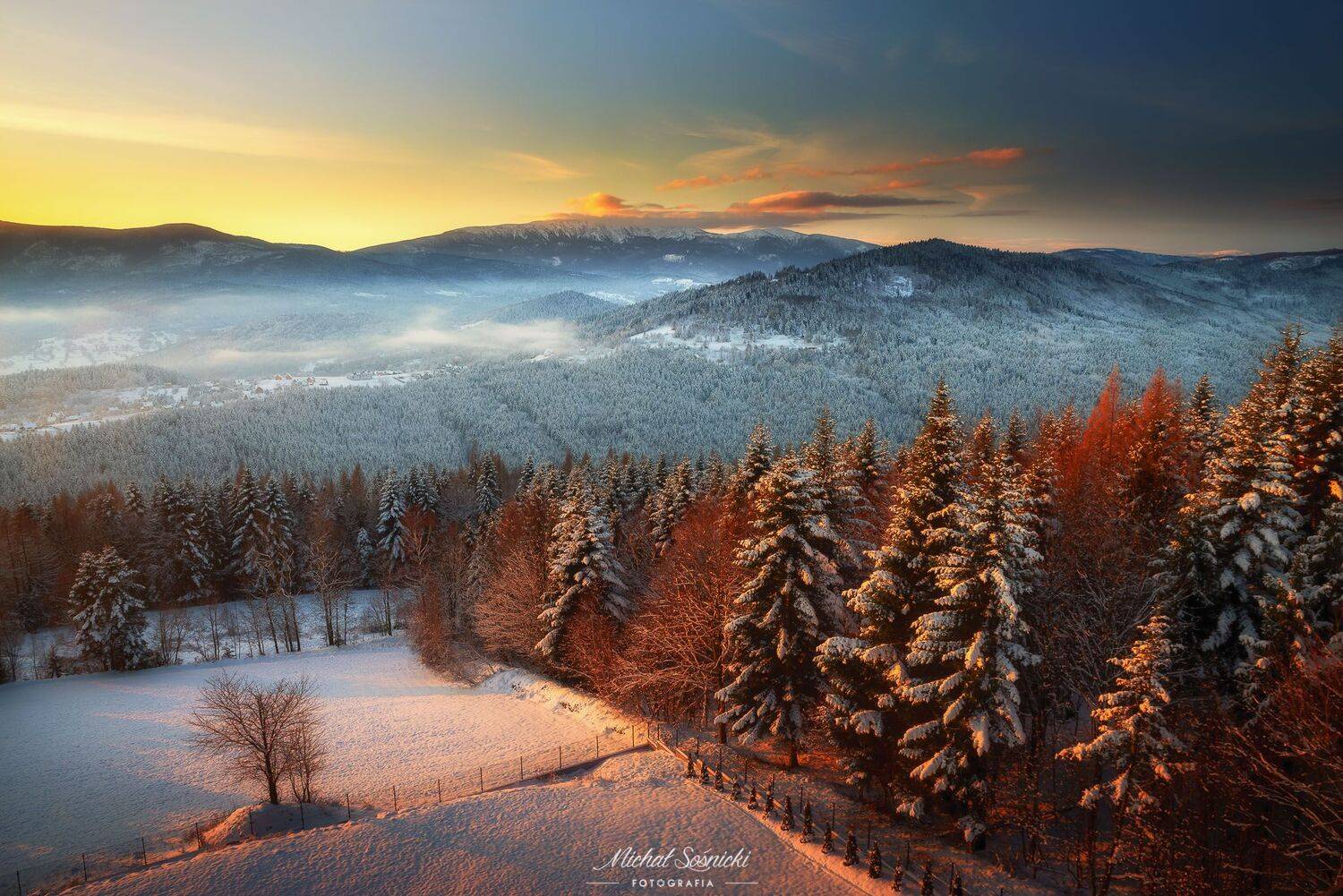 #tree #mountains #summer #sunset #wood #nature #amazing #earth #pics #photo #best #poland, Michał Sośnicki