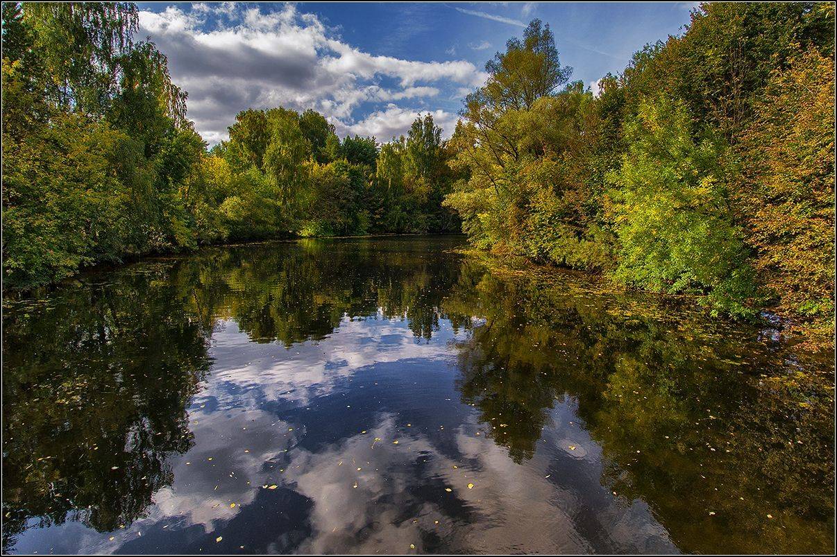 москва, осень, озеро, лес, отражение, АНАТОЛИЙ ДОВЫДЕНКО