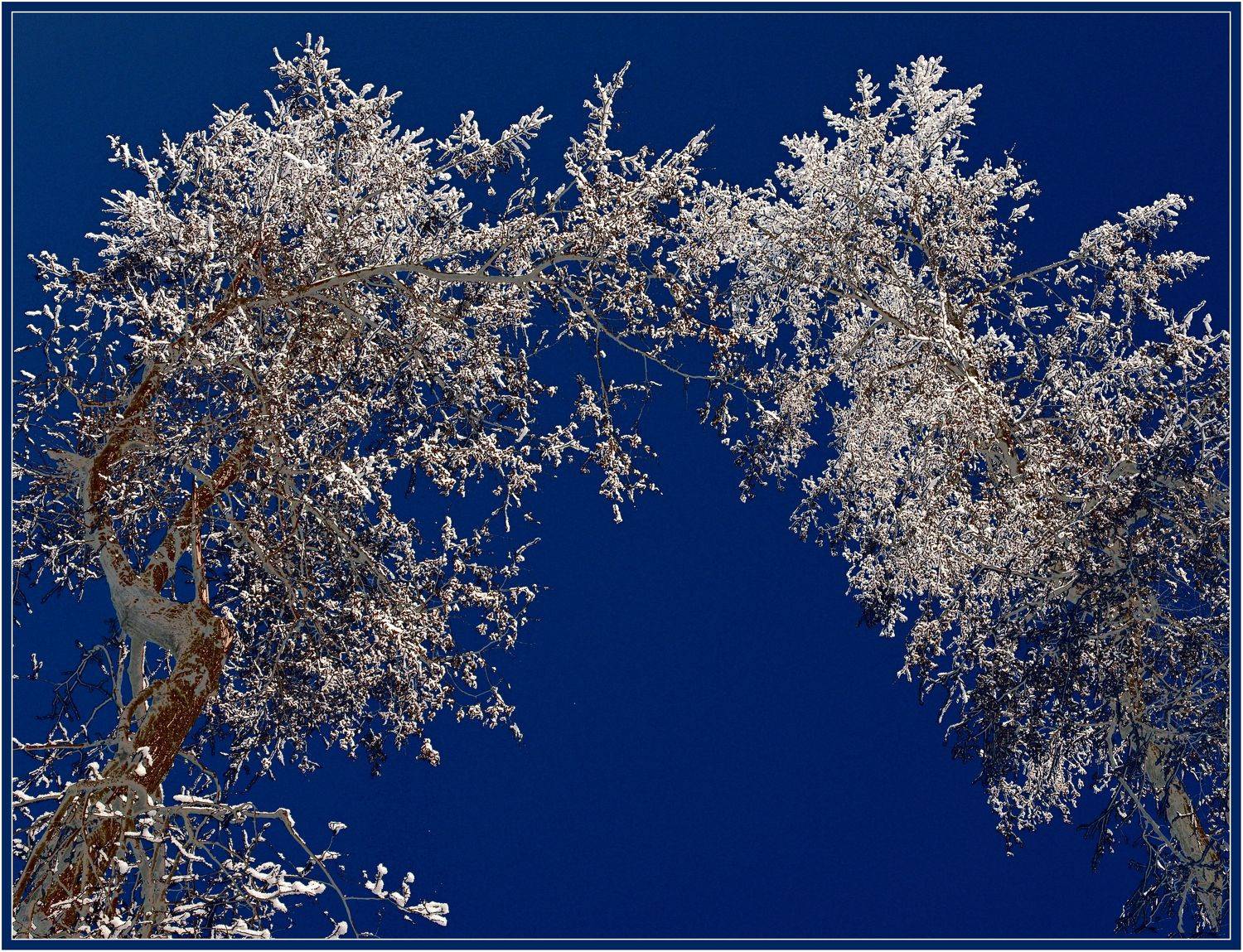 , Владимир Краснов