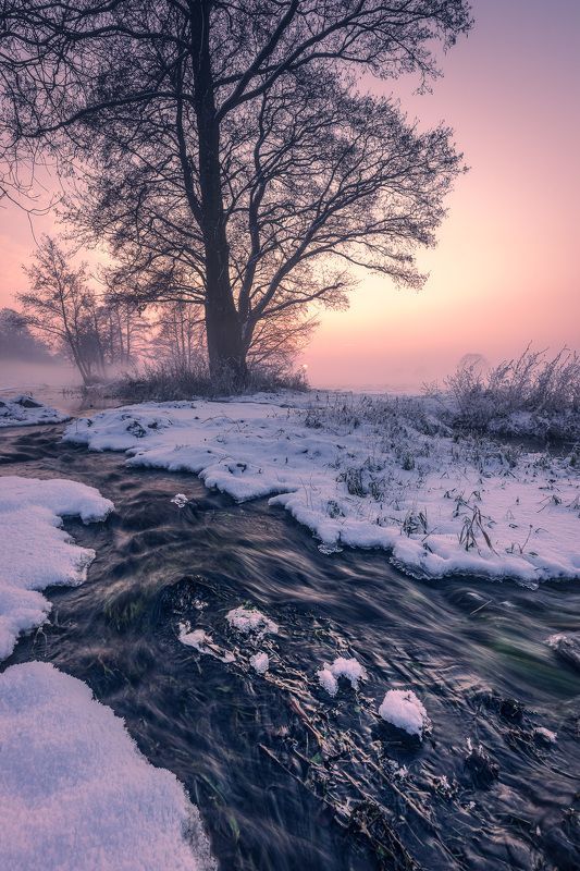 A bit of winter фото превью