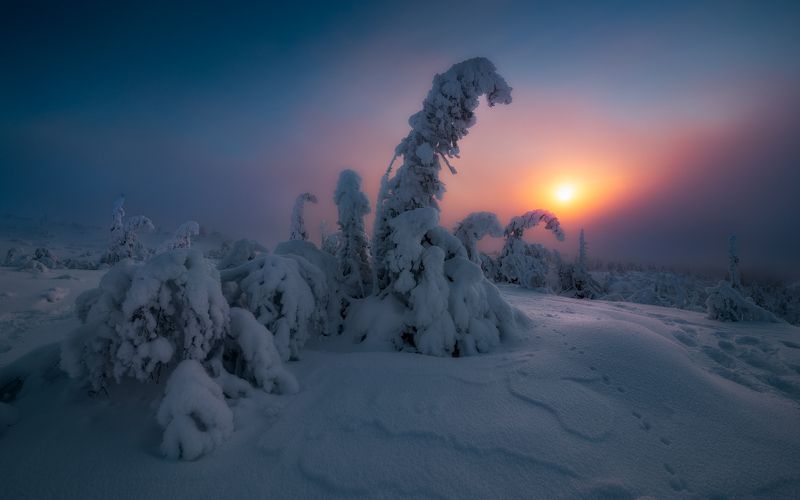 снег, солнце, зима, Кольский полуостров, закат Уставшее солнце. фото превью