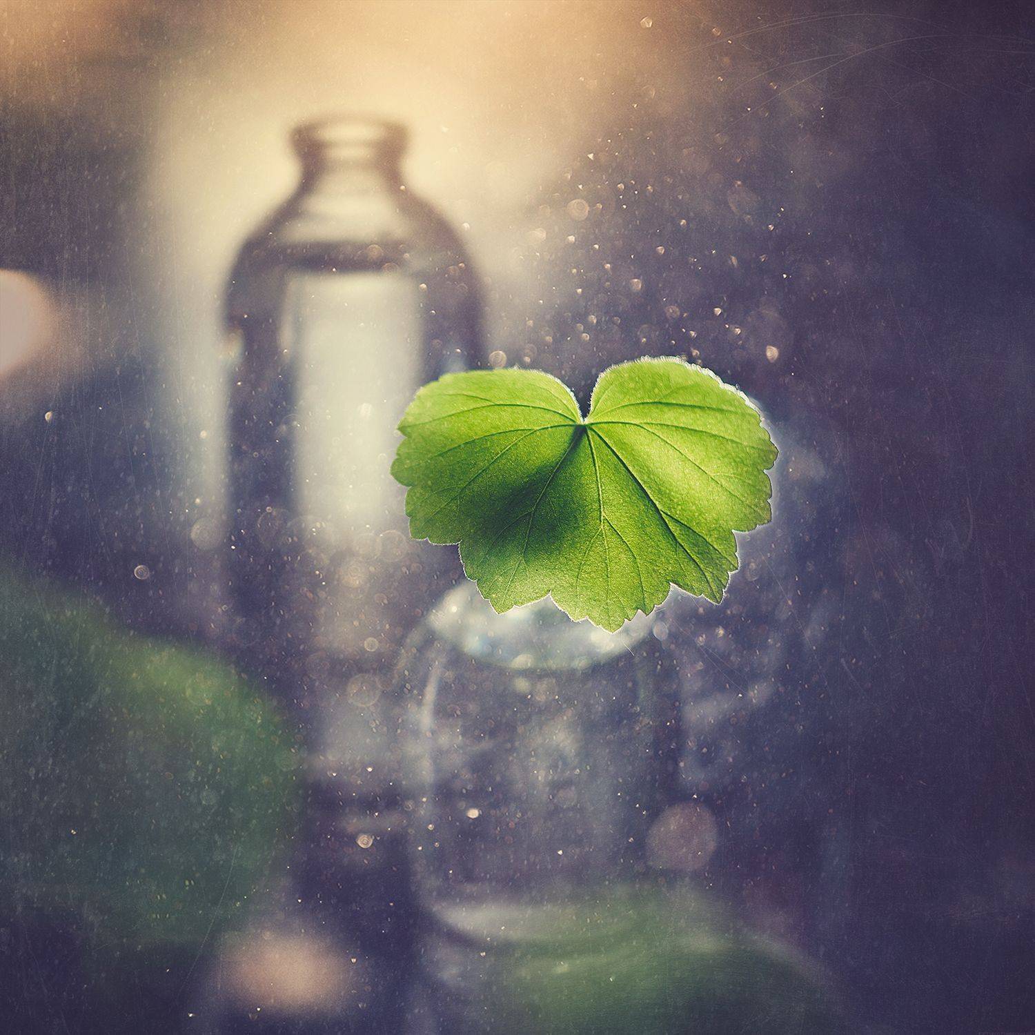 , MVO (Марк Орлов)