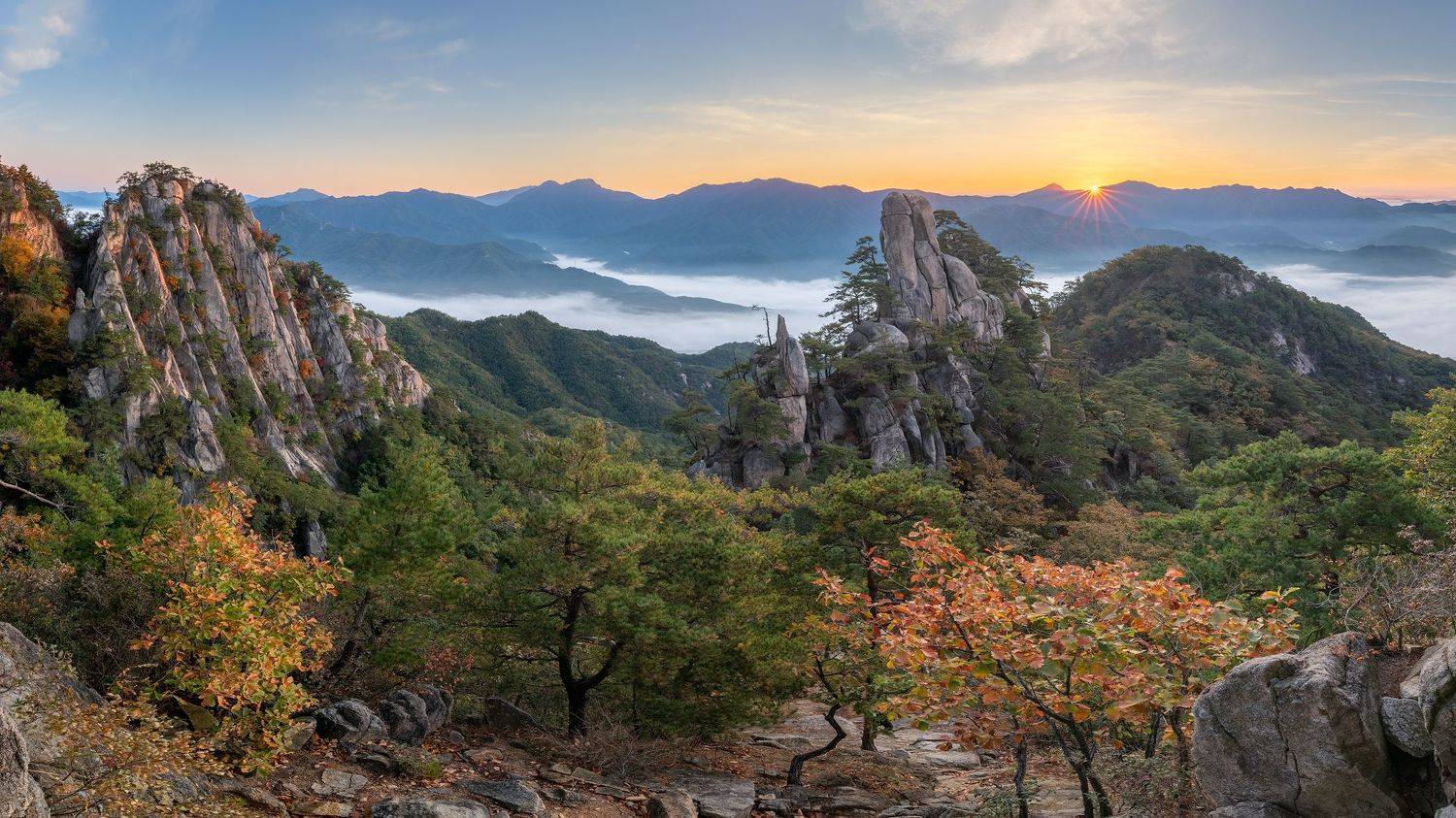 mountain, tree, nature, pine, clouds, autumn, top, Jaeyoun Ryu