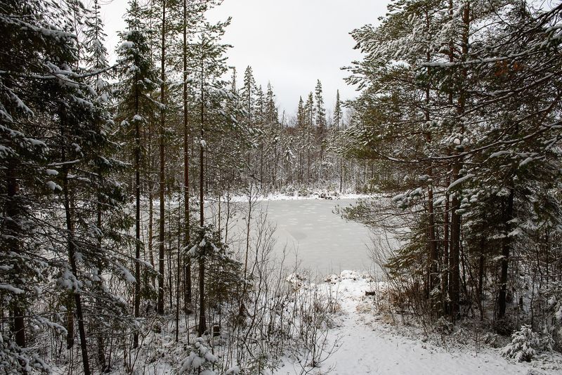 фото превью