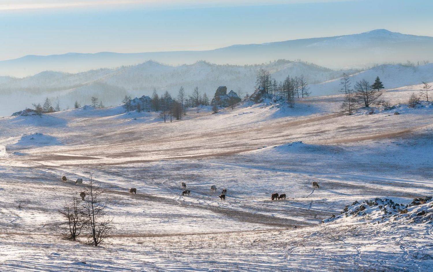 , Алексей Трофимов
