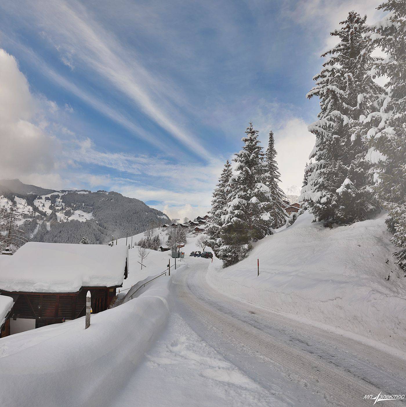swiss, Матвеев Николай