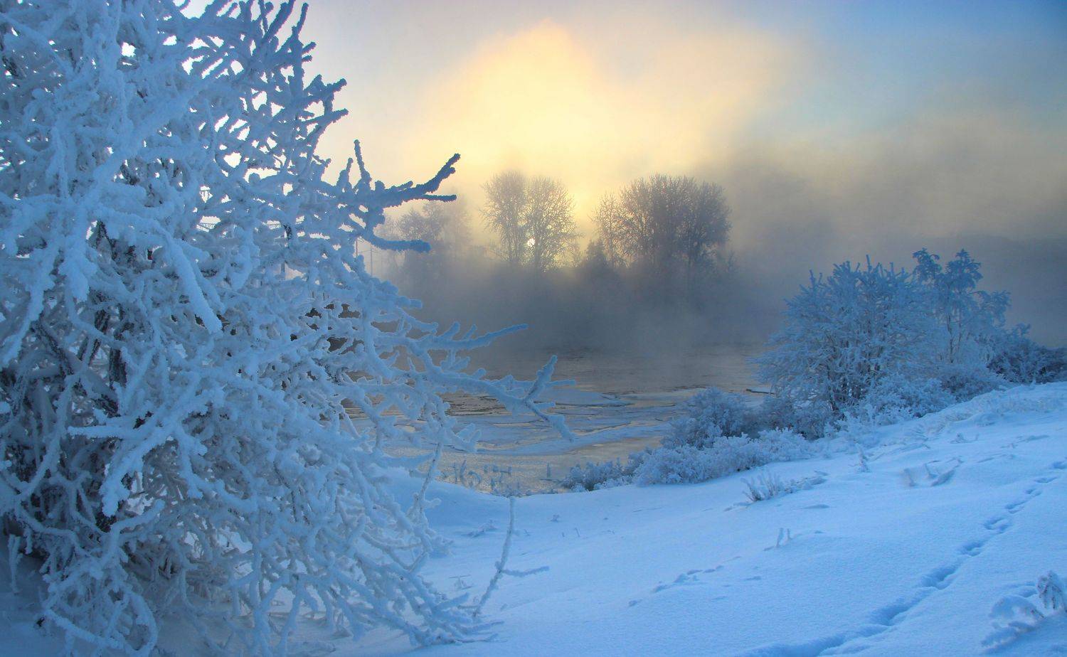 , Александр Коротков