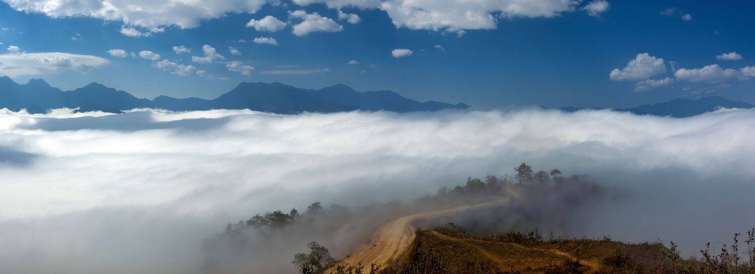 , Nguyễn Ho&agrave;ng Long