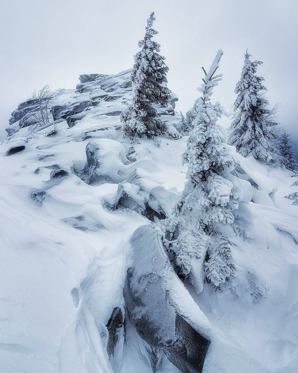 , Антон Кошетаров