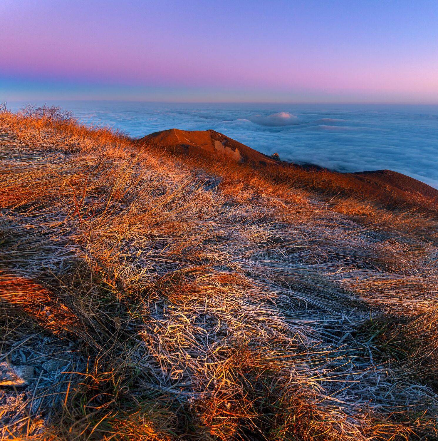 рассвет,бештау,ветер,иней,трава,природа,пейзаж, Елена Брежицкая