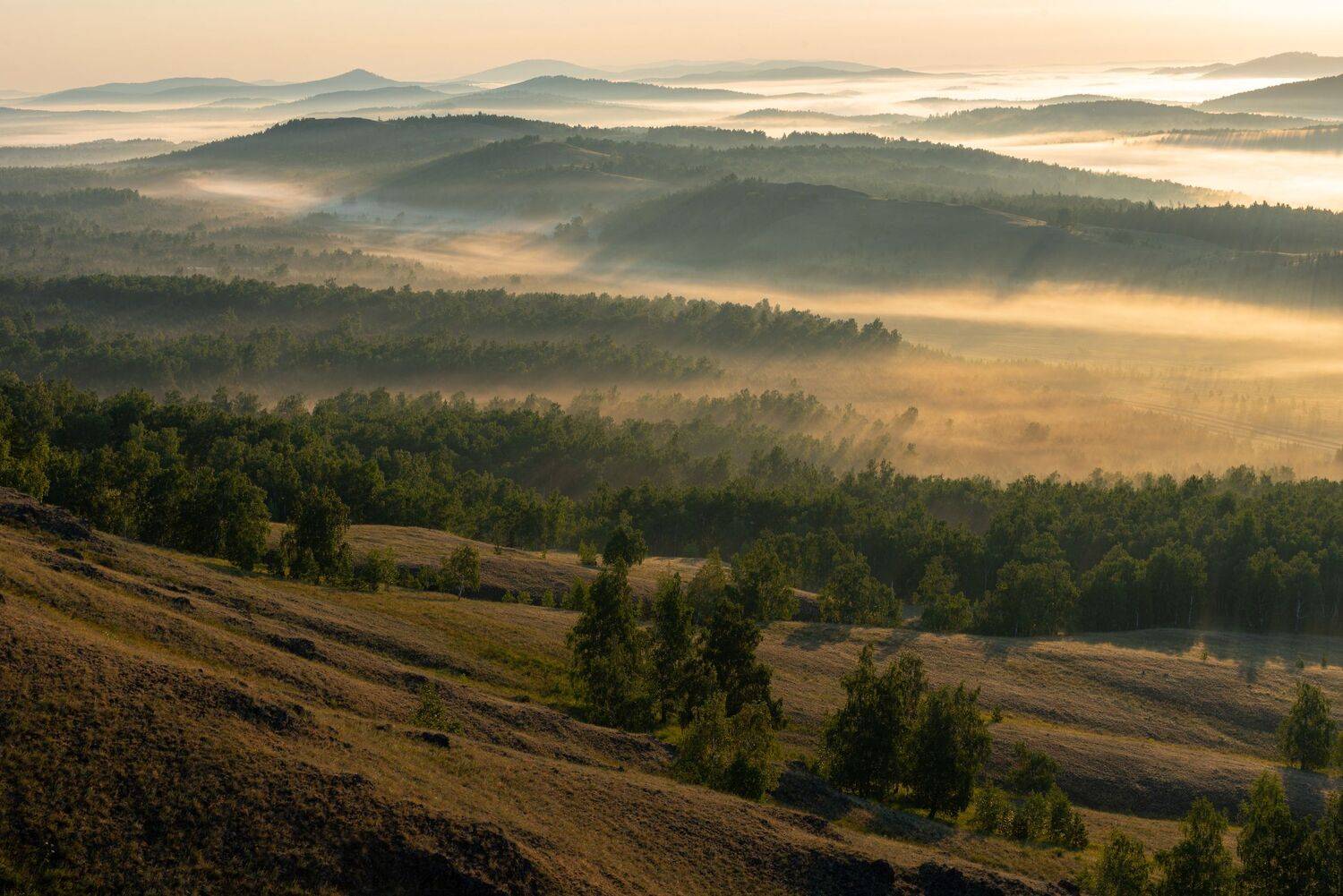 , Максим Ватрушкин