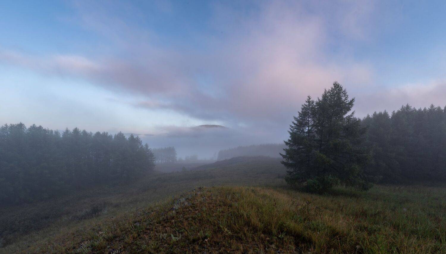 , Максим Ватрушкин