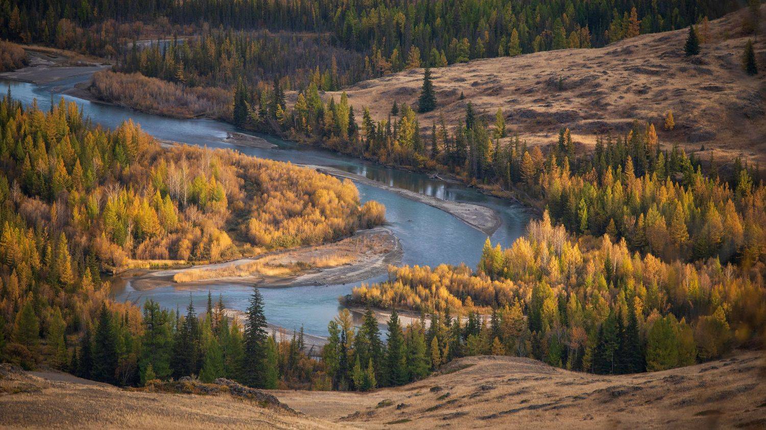 , Алексей Кретов