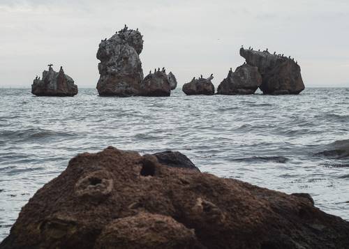 Явление зимнего камнестояния.