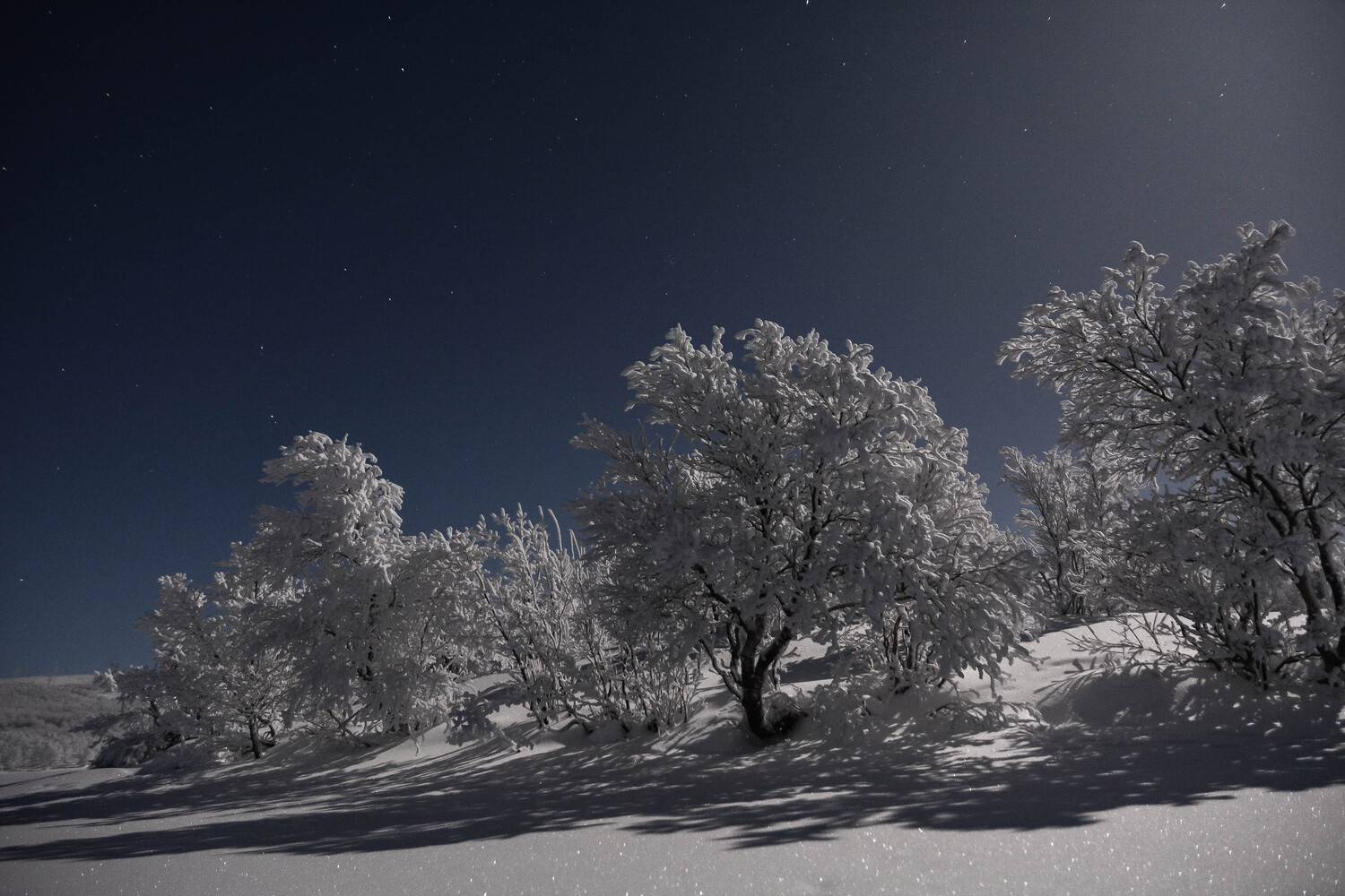 , Sergey Kaverin