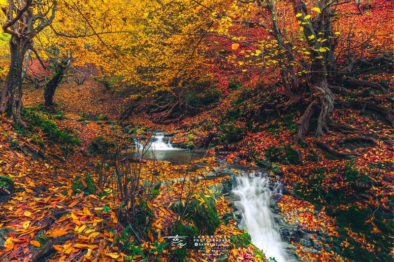 Autumn is a thousand colors фото превью