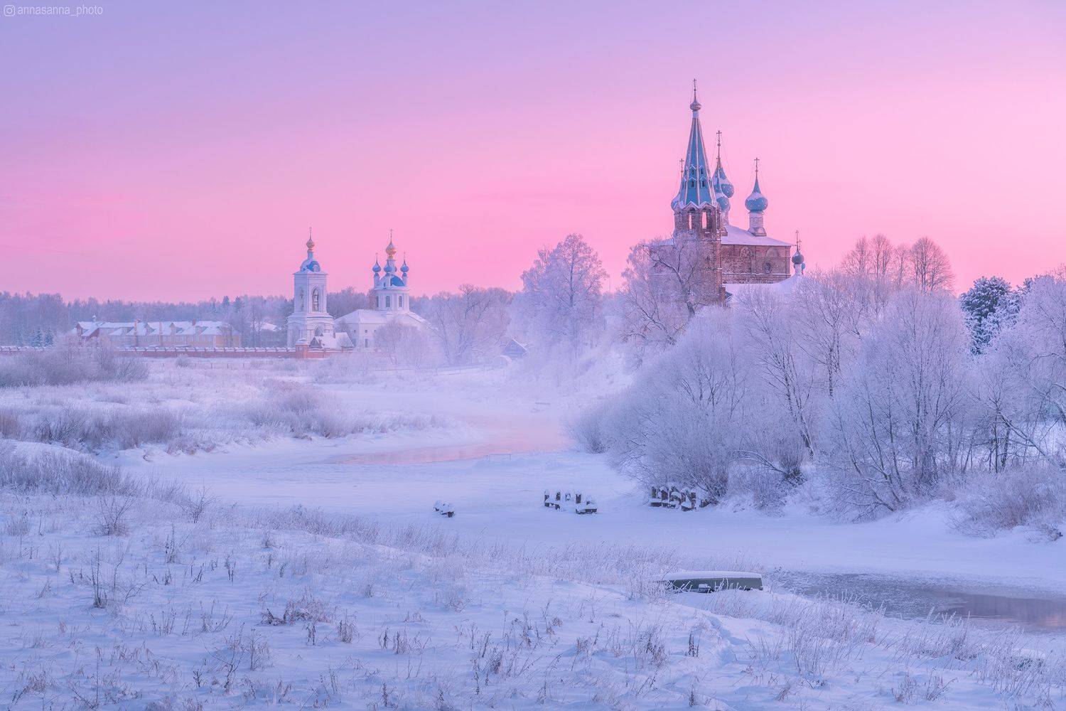 , Анна Политова