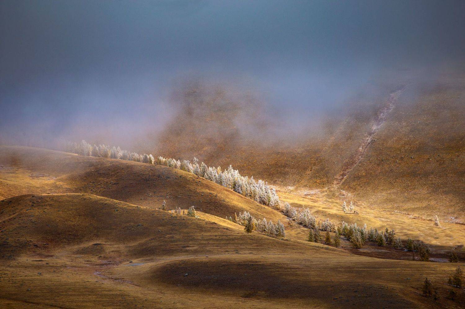 , Юрий Столыпин