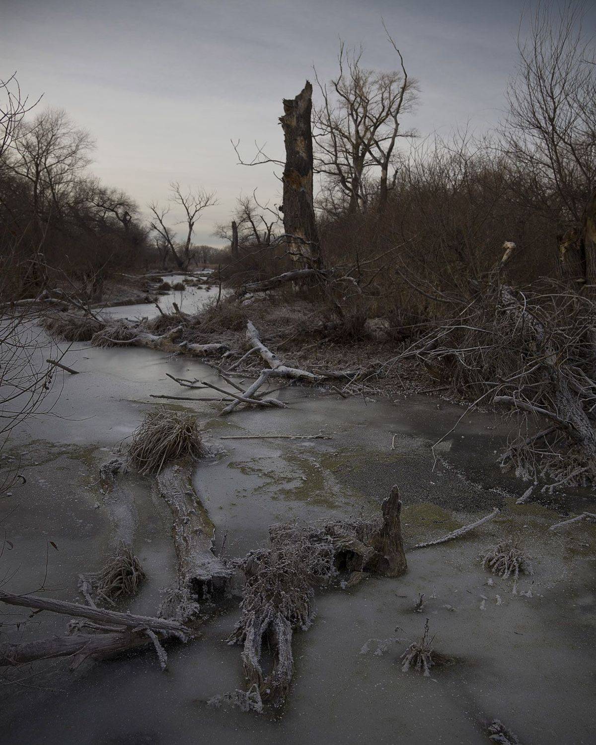 болото , начало зимы, Виктор Кириллов