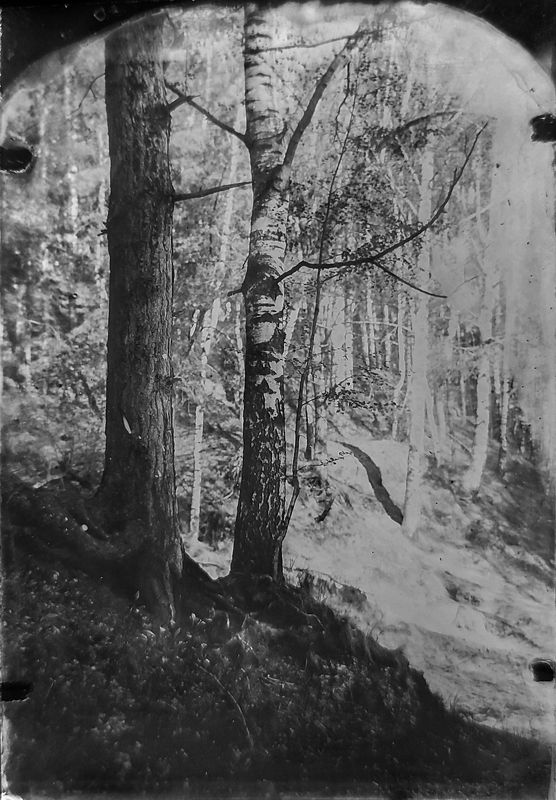 амбротип,  плёнка, средний формат, пейзаж, большой формат.  фото превью