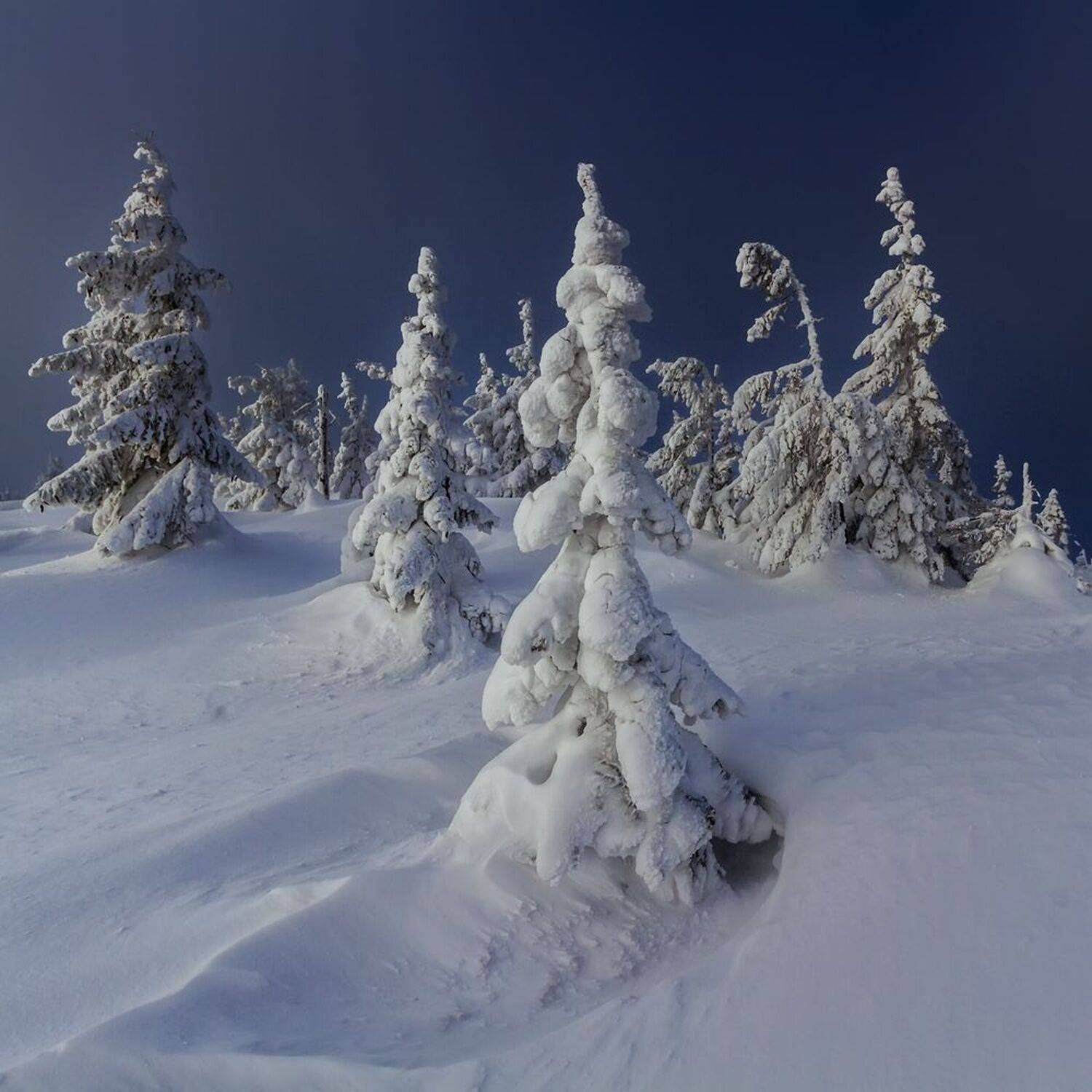 landscape,winter,mountains,canon, Iza i Darek Mitręga