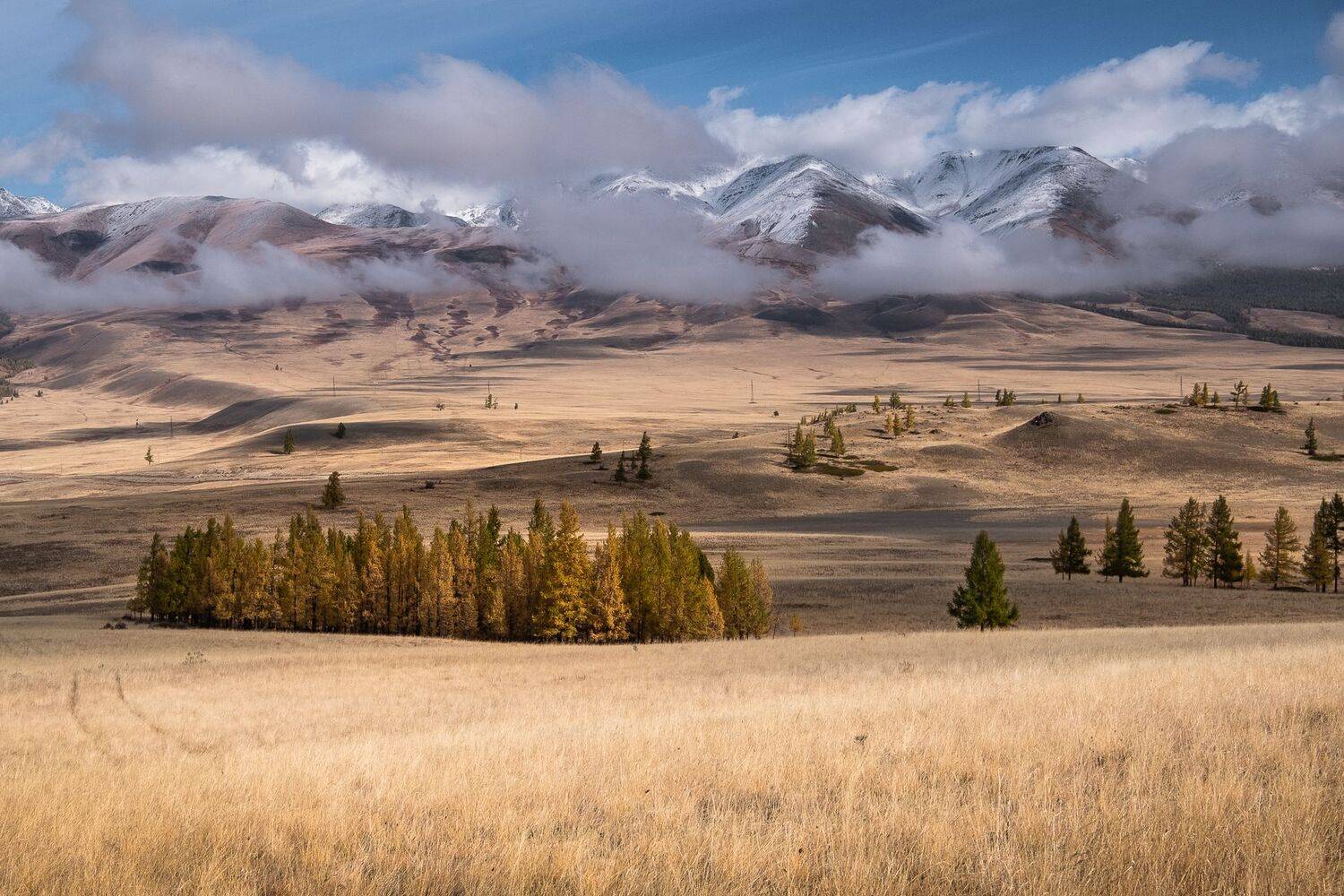 Алтай, Курайская степь, Вадим Коротеев