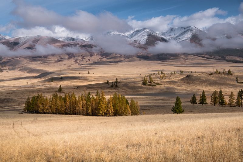 Островки осени фото превью