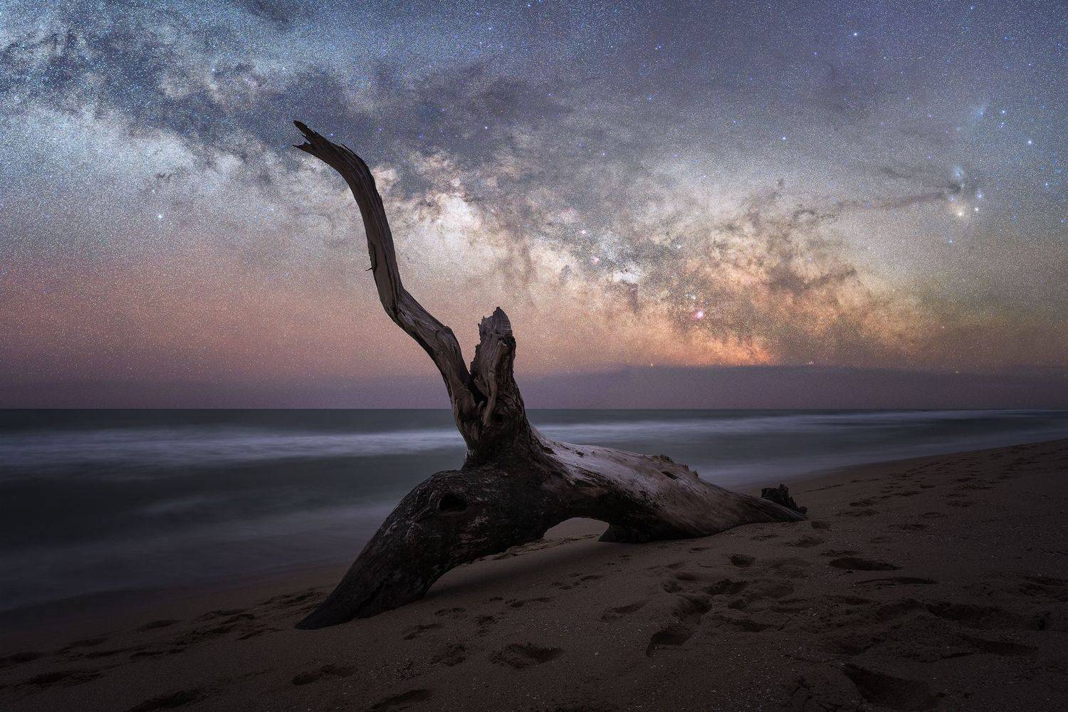 , Михаил Минков