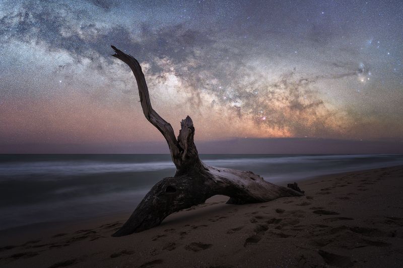 Самотникът / Recluse фото превью
