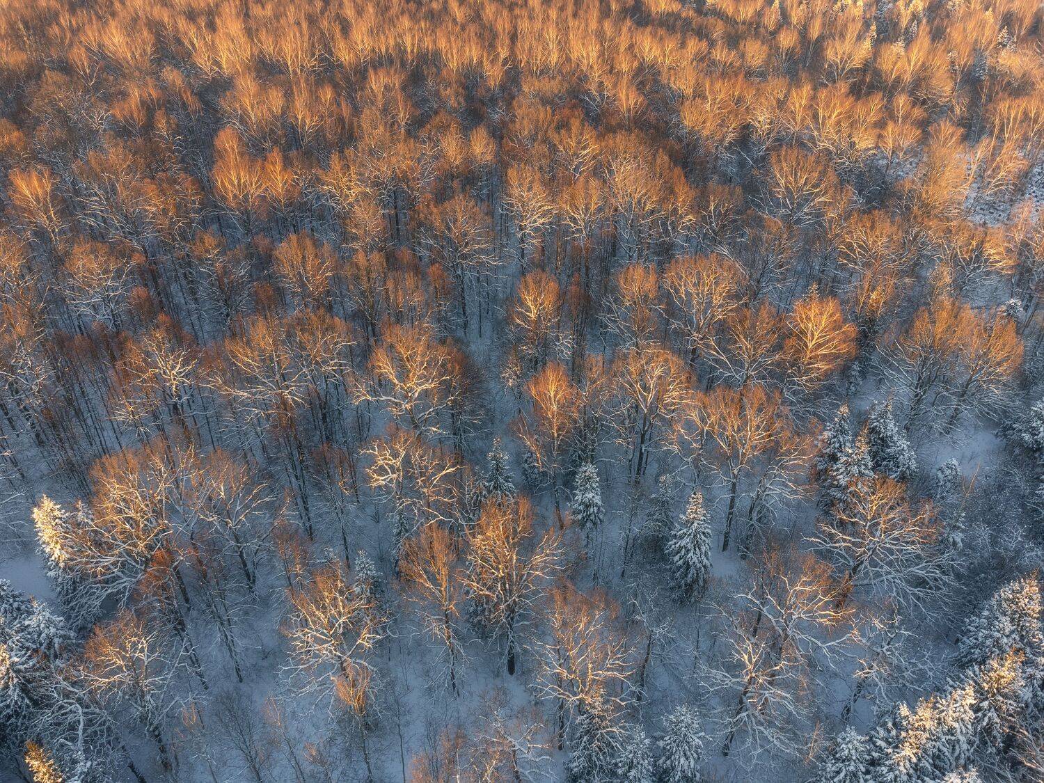 зима, аэросъемка, квадрокоптер, природа, Московская область, пейзаж, Мартыненко Дмитрий