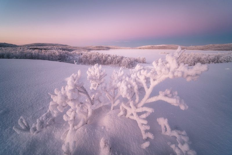 россия, мурманская область, кольский полуостров, пейзаж, природа, зима, заполярье, ночь, озеро Оленьи рога фото превью