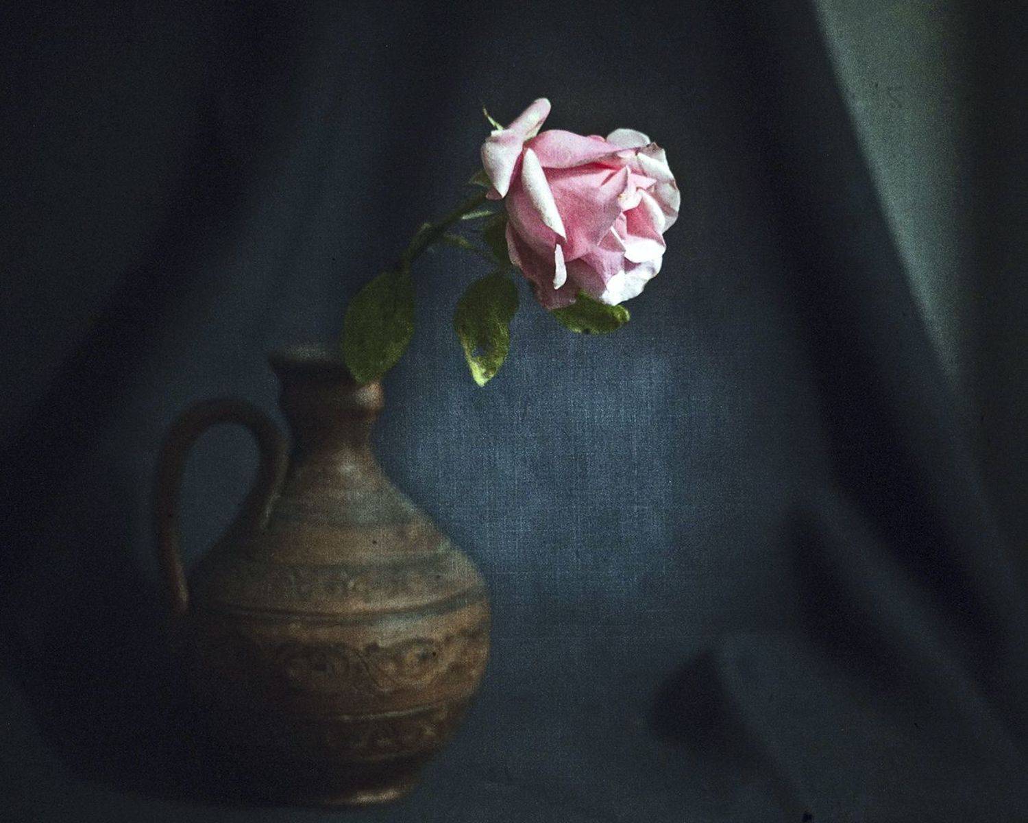 , Татьяна Аверина