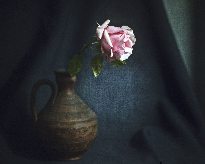 Светом обласкана... фото превью