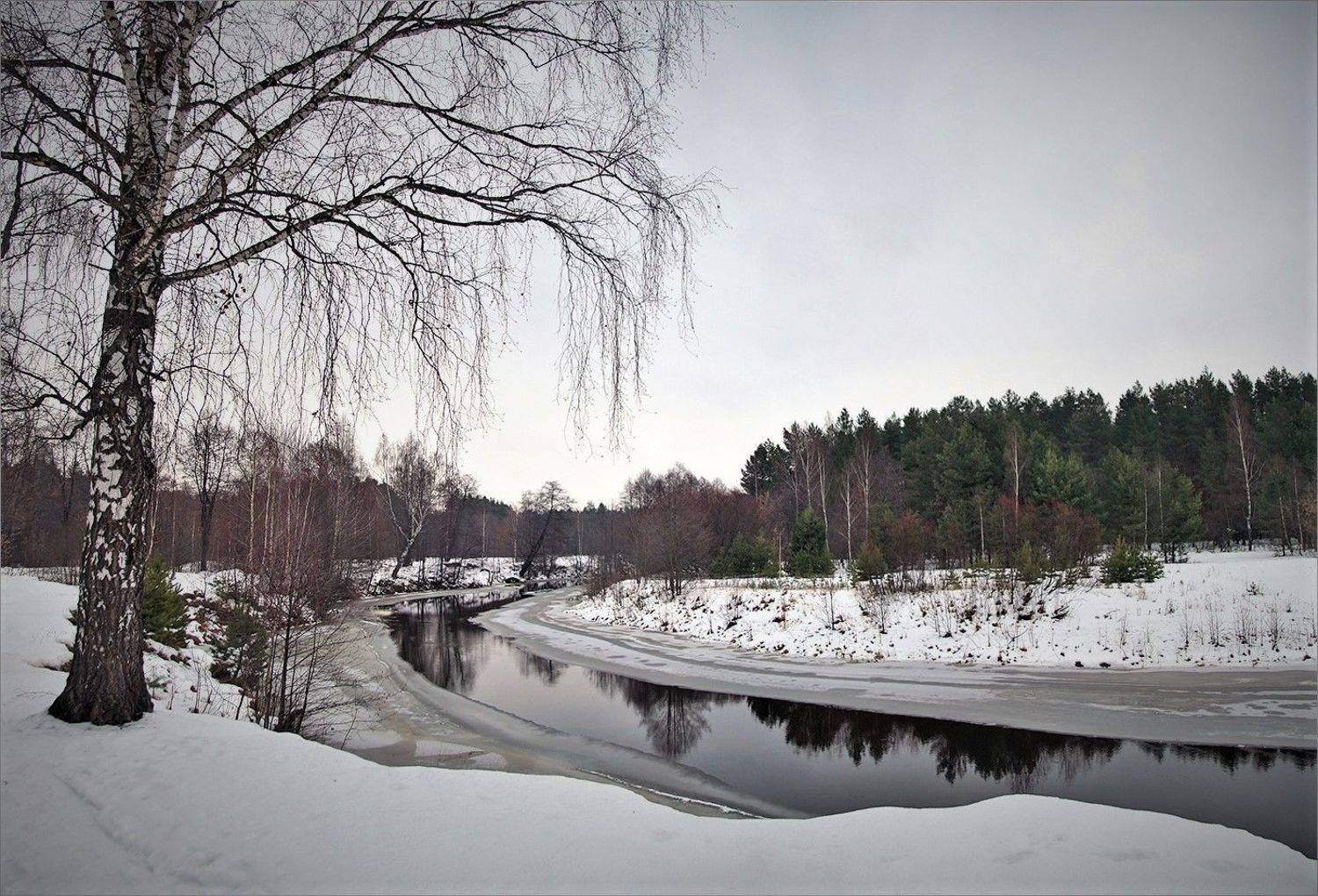 , Сергей Никсон
