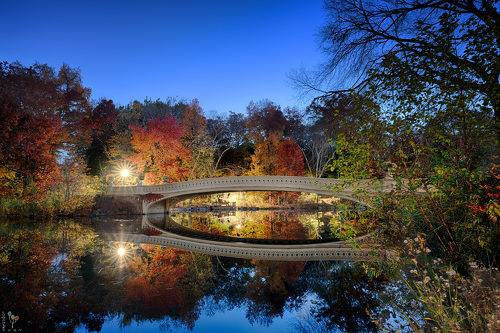 Early Morning over Bow Bridge in Central Park