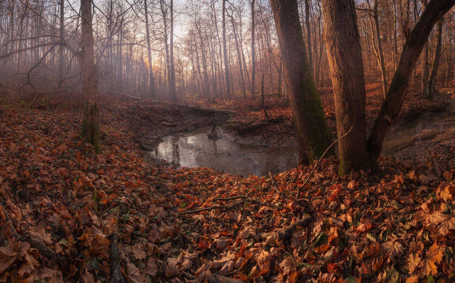 пейзаж, природа, nature, landscape, Семён Кузнецов