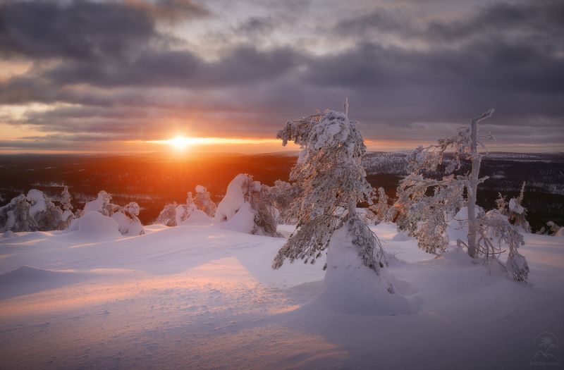 пейзаж, природа, зима, лапландия Зимние фигуры фото превью