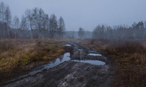 Сырой декабрь бродит по лугам