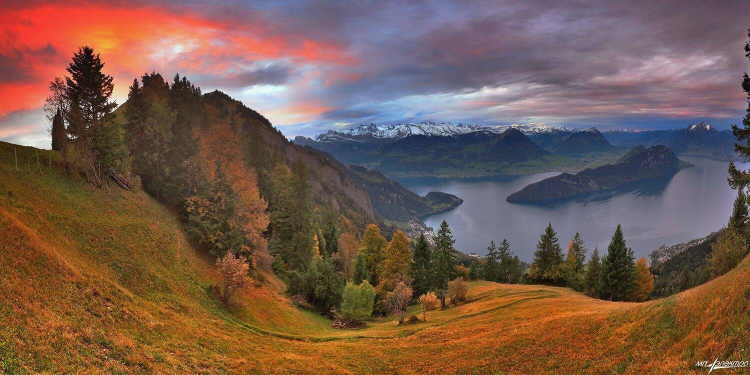 swiss, Матвеев Николай