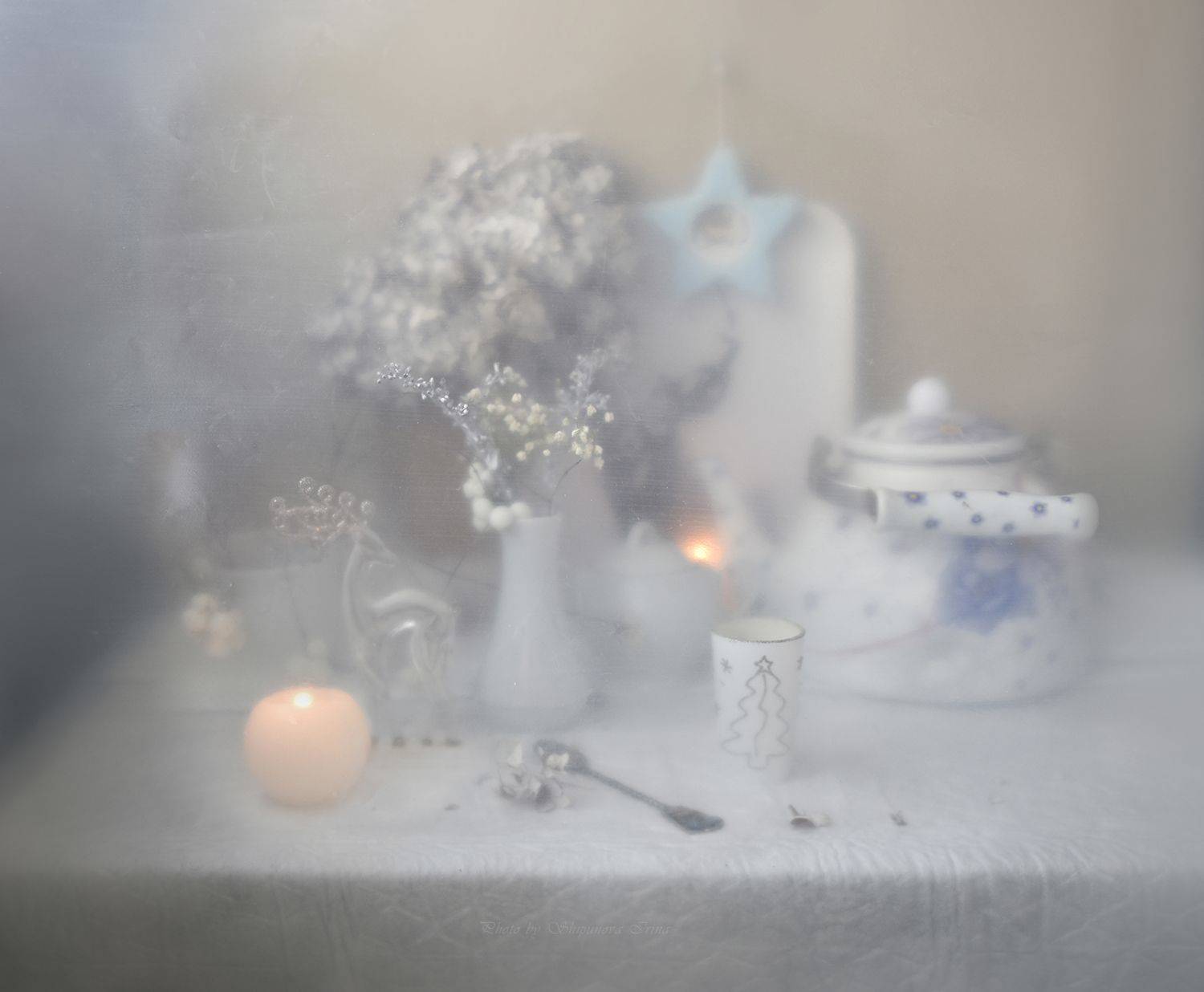 , Шипунова Ирина