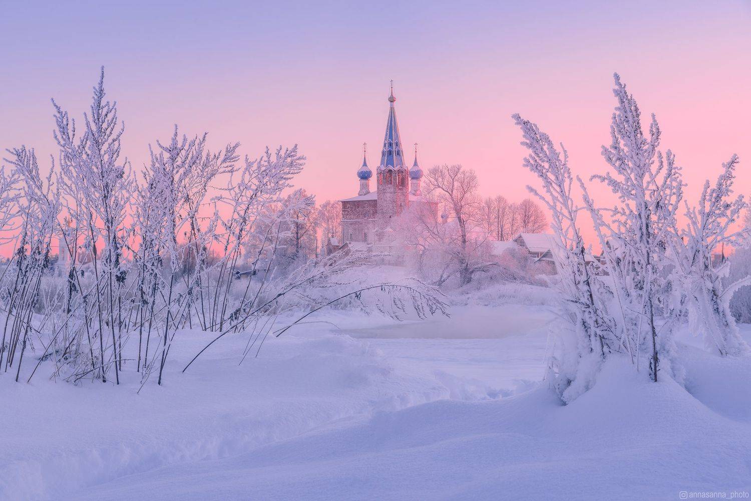 , Анна Политова