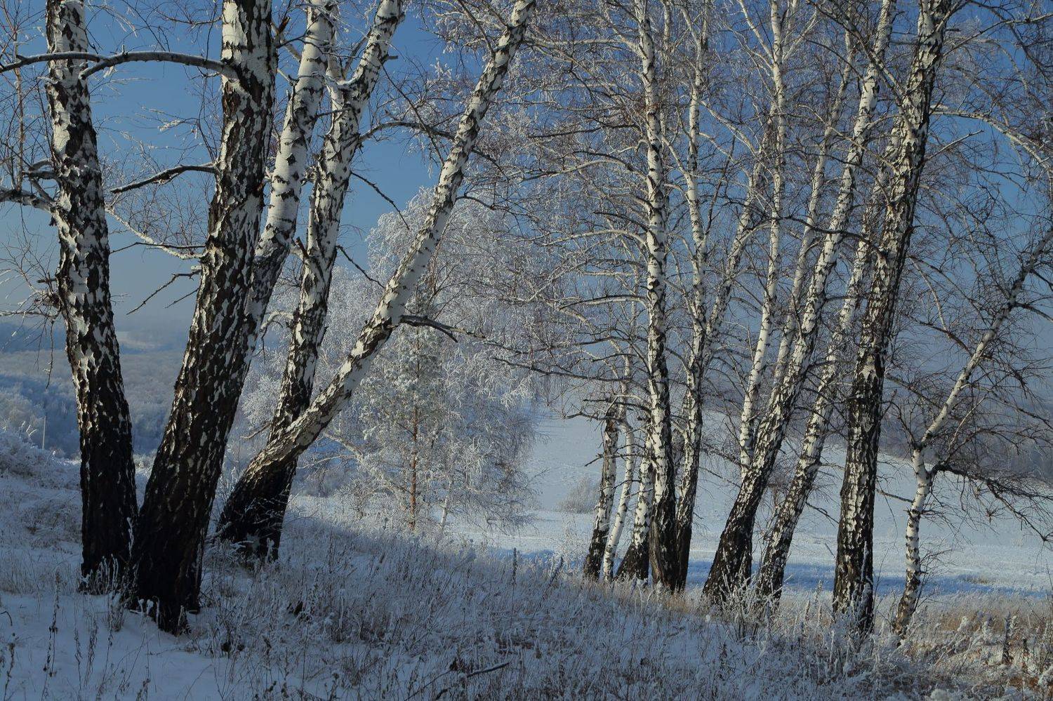 , Евгений Зинов