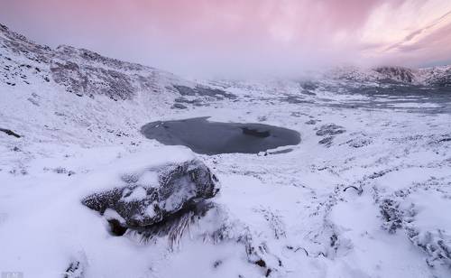 coldness