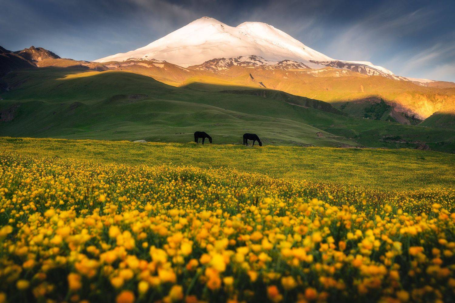 , Михаил Туркеев