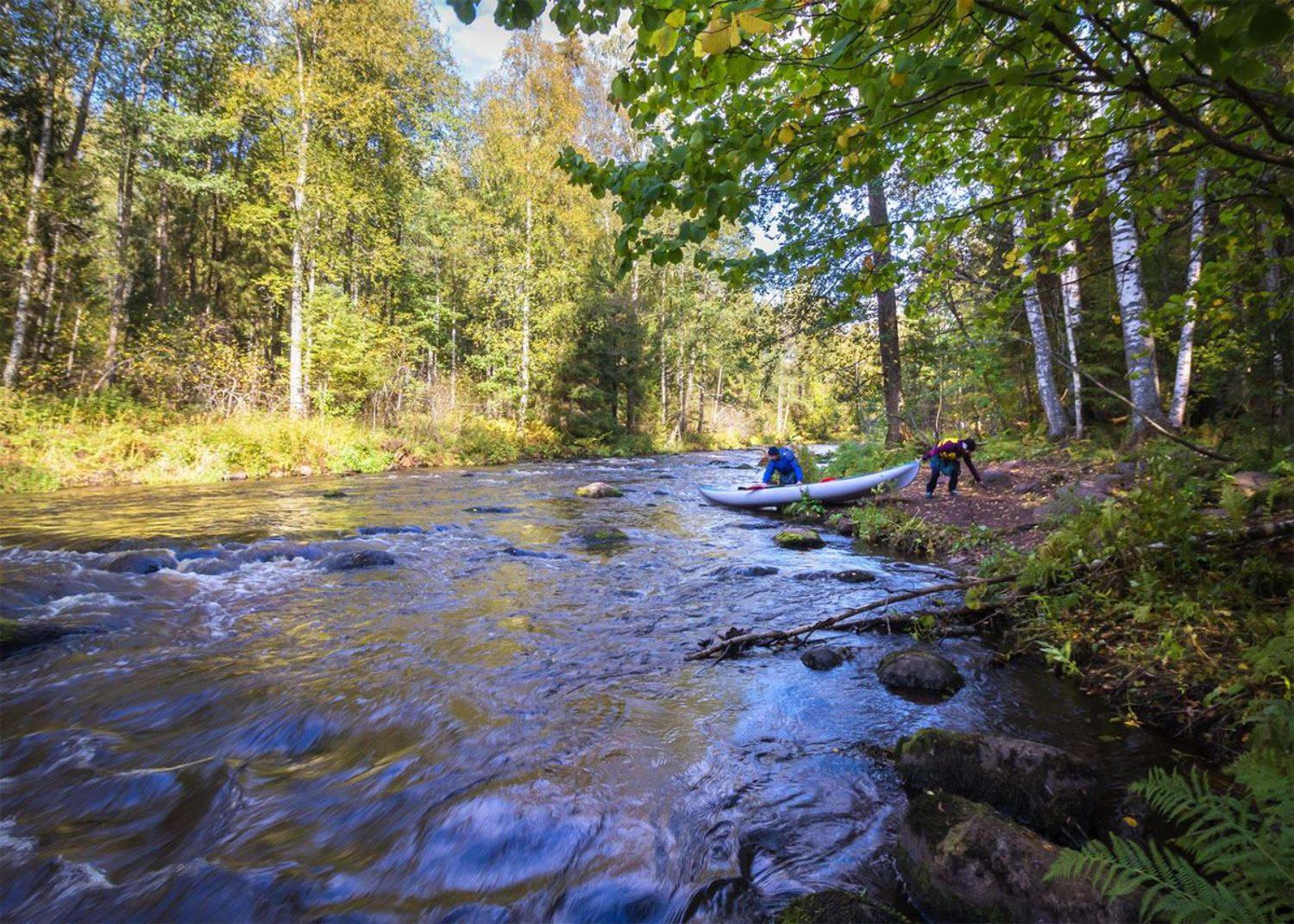 , Алексей Герасимов