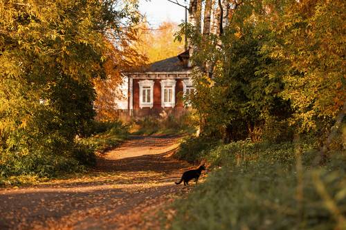Осень в левобережье