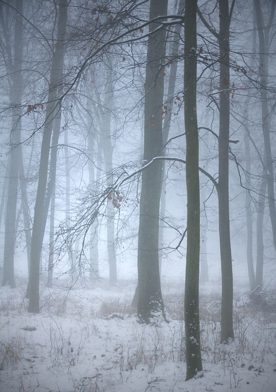 in winter decorations... фото превью