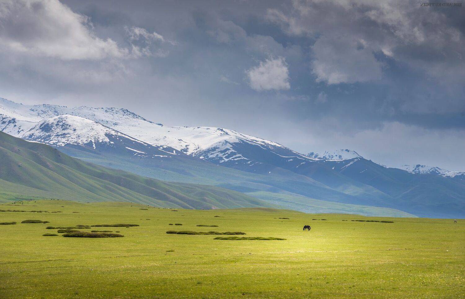 , Кутыгин Эдуард