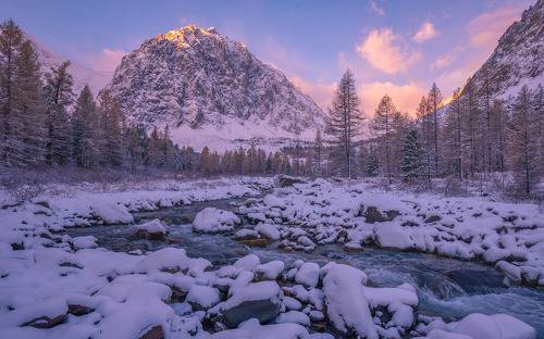 пришла зима